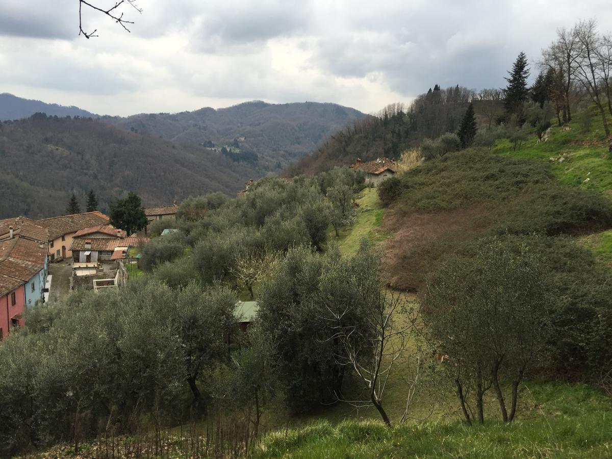 B&B Puccini Pescaglia Zewnętrze zdjęcie